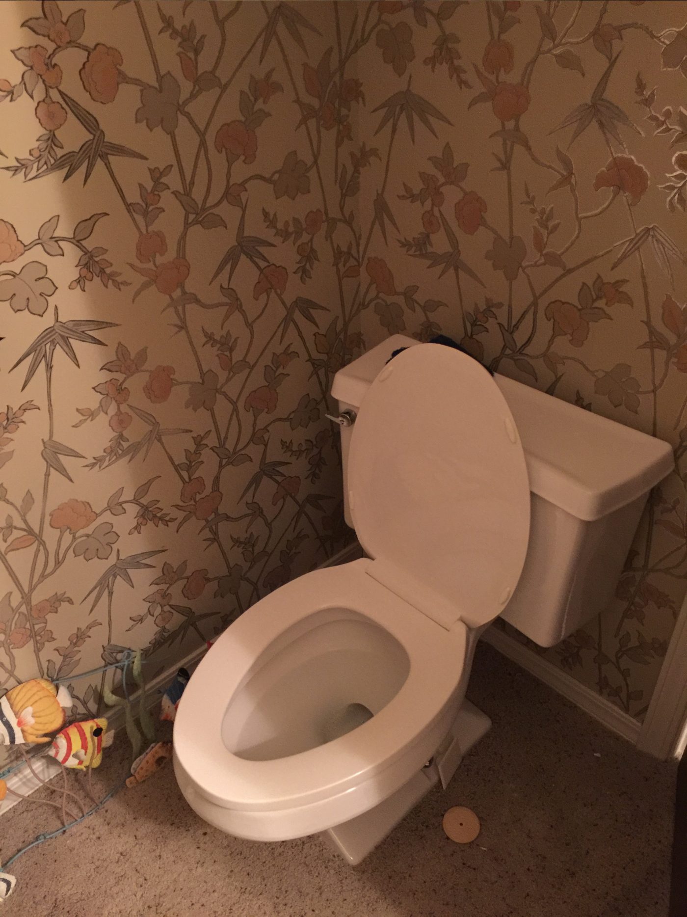 Bathroom before the remodel, dated fixtures and old wallpaper